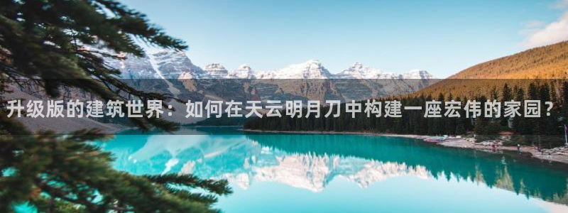 NG体育体育管理集团