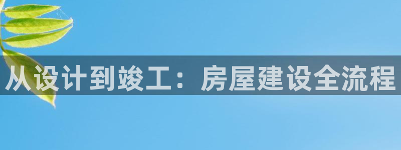 NG体育在线